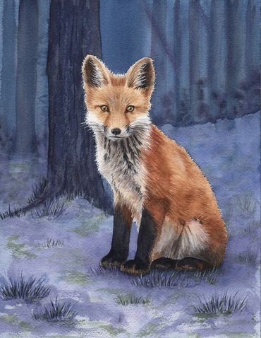 Diane Pope painting - A furry baby fox sits in the woods