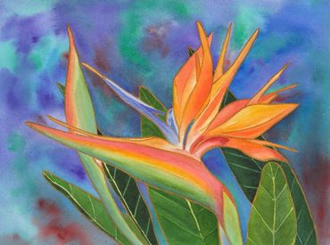 Diane Pope painting - an orange bird of paradise with a blue background