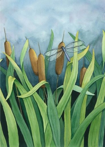 Diane Pope painting - a small dragonfly lands on cattails