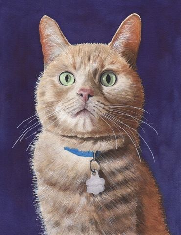 Diane Pope painting - An orange tabby with a blue collar sits at attention
