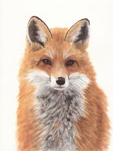 Diane Pope painting - A red fox stares into the distance