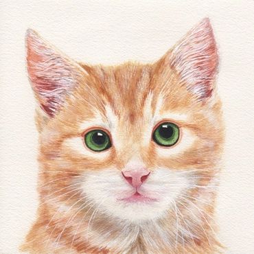 Diane Pope painting - a ginger tabby with green eyes peeks curiously at you