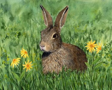 Diane Pope painting - a little brown bunny sits in a grassy spring meadow with yellow flowers