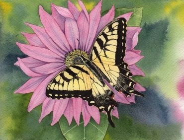 Diane Pope painting - a yellow swallowtail lands on a pink flower
