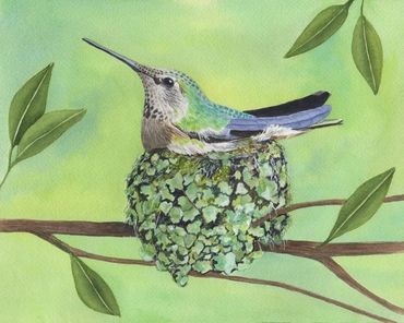 Diane Pope painting - A mama hummingbird nesting in a tree