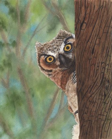 Diane Pope painting -  A brown owl peeks at you from behind a tree