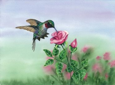 Diane Pope painting - a tiny hummingbird feeds on a pink rose