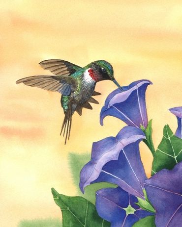 Diane Pope painting - a hummingbird sips from a purple trumpet flower