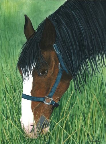 Diane Pope painting - a brown a white horse nibbles on pasture grass