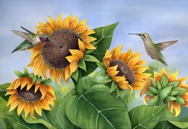 Diane Pope Painting
Watercolor painting of 4 sunflowers with 2 hummingbirds with a blue background.