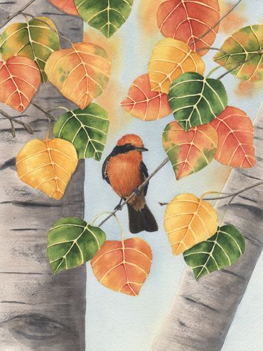 Diane Pope painting - an orange and black flycatcher sits in a tree surrounded by fall leaves