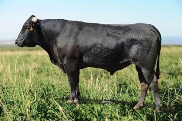 LMR AKAHIGE 8119U (AI) (ET)