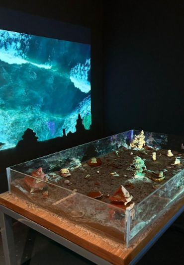 Art installation with a transparent case and ocean projection.