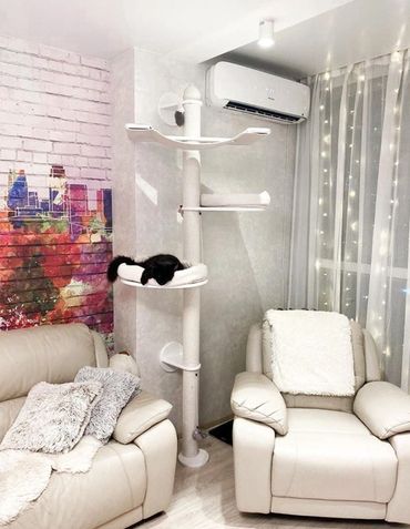 Best Cat Towels, cat trees, cat playhouse