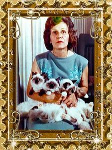 Ann Baker with her cats