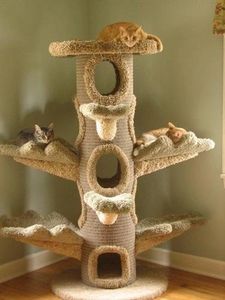 Best Cat Towels, cat trees, cat playhouse