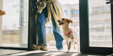 A person entering through a glass door with a happy dog.