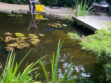 Pond maintenance