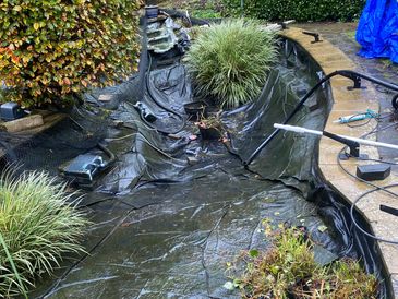 Pond clean