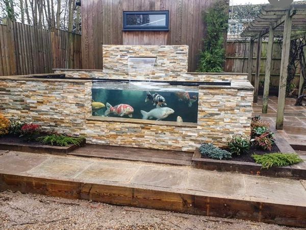koi fish pond built by ourselves 