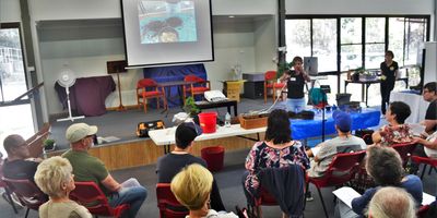 Gold Coast Tweed Bonsai Club beginners classes and demonstration at elanora uniting church