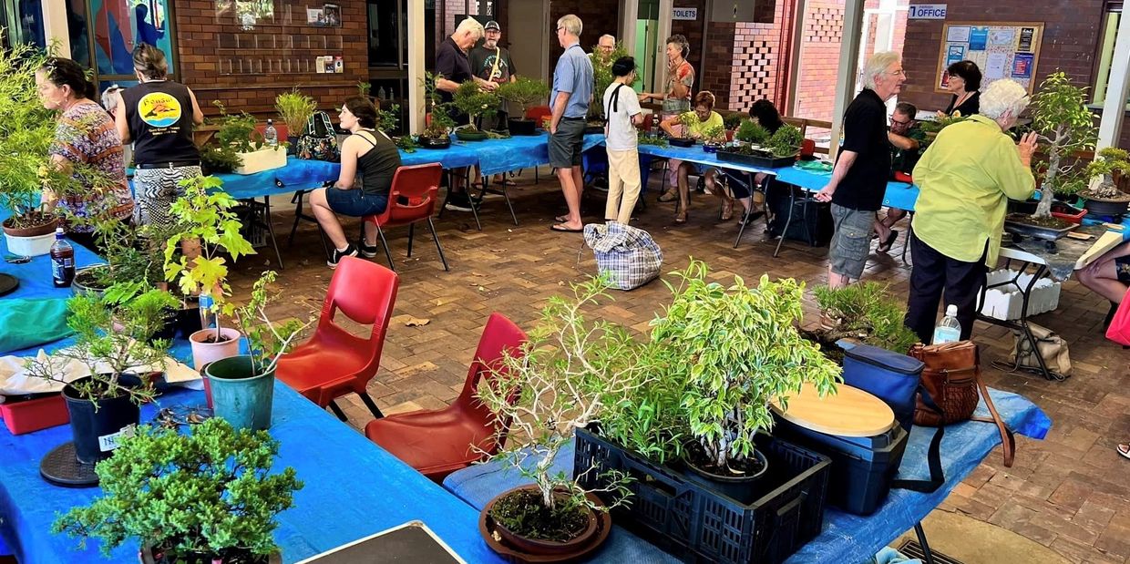 Gold Coast Tweed Bonsai Club covered open air own tree workshop 