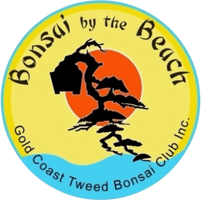  Bonsai by the Beach