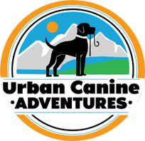 Urban Canine Adventures