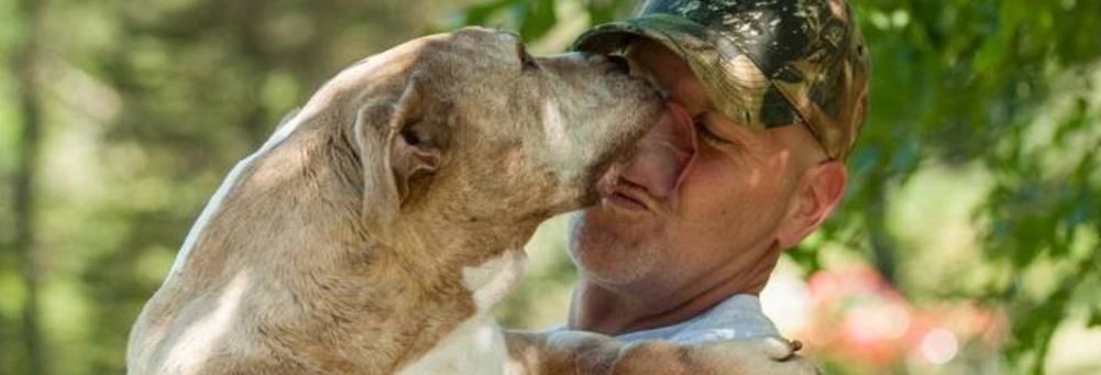 k9 behavior training