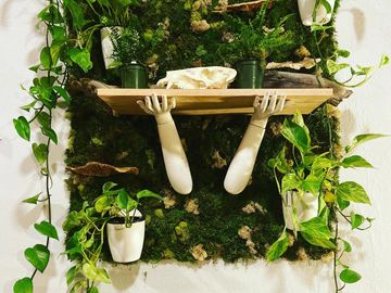 Preserved Moss wall with mannequin arm shelf
