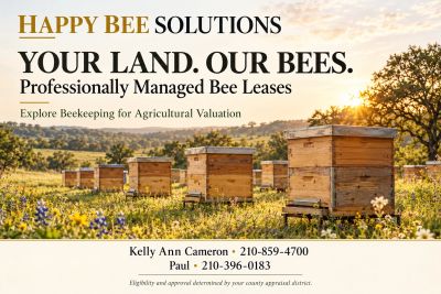 Happy Bee Solutions offers Bee Maintenance