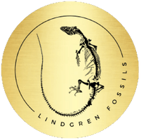 Lindgren Fossils LLC