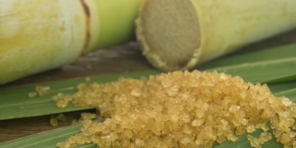 Golden brown sugar crystals with sugarcane in the background.