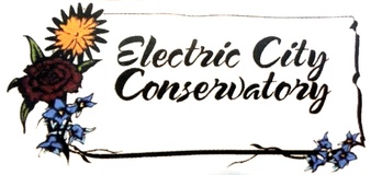 Electric City Conservatory