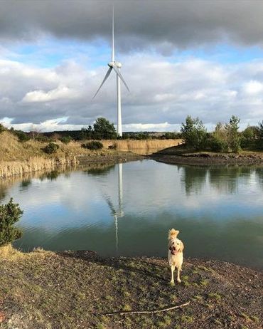 Annesley and Newstead country park