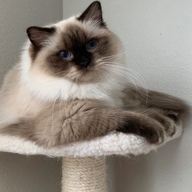 THE BIGGEST AND CUTTEST GIRL WHO EATS EVERYTHING LIKE A VACUUM.