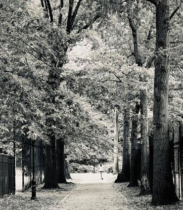 Monochrome, Black and White, Abstract, BNW, B&W, Photography, Abstract Art,