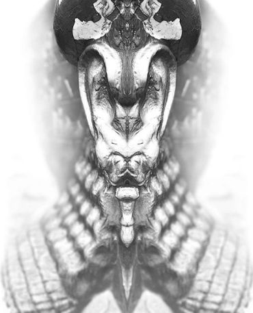 Monochrome, Black and White, Abstract, BNW, B&W, Photography, Abstract Art, Portrait