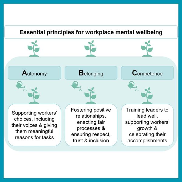 Key principles for workplace mental wellbeing: autonomy, belonging, competence.
