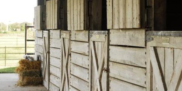 horse stalls