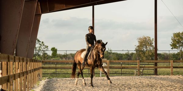covered dressage arena with GTT footing
