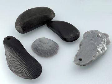 Biomimetic envLoggers, including robomussels, robo-oyster and robolimpet
