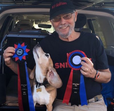 Buddy earning his NACSW K9 Nose Work NW3 Elite Title in Corvallis, OR .October 2019