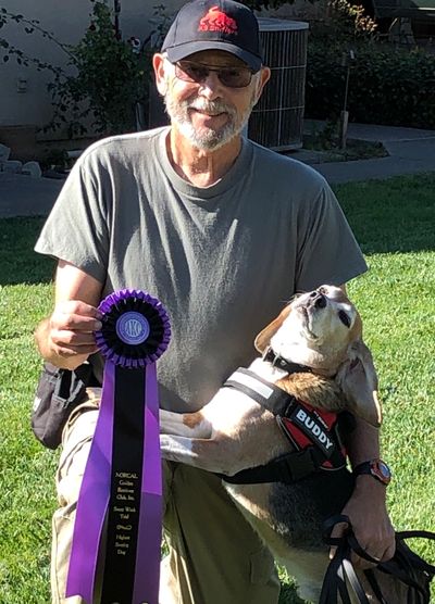 Buddy earning his AKC Scent Work Master Title in Watsonville, CA