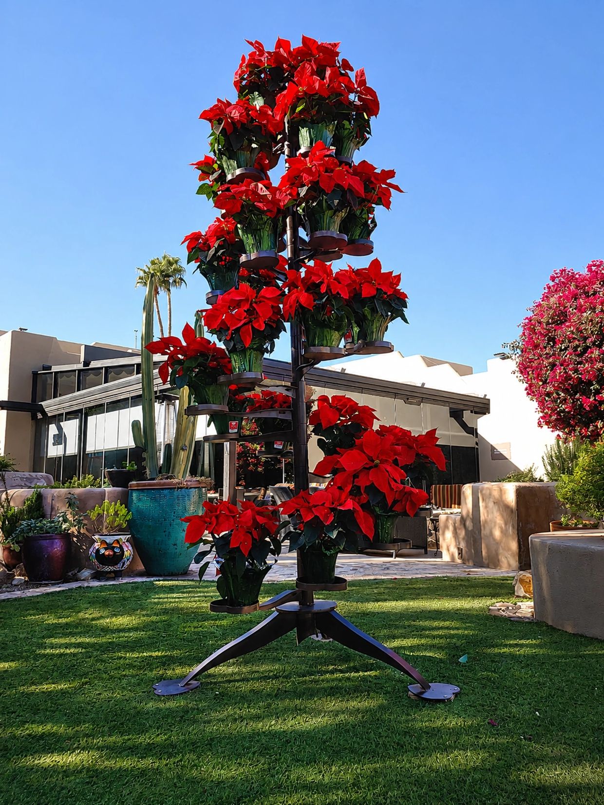 A metal stand holds multiple pots of vibrant red poinsettias outdoors.