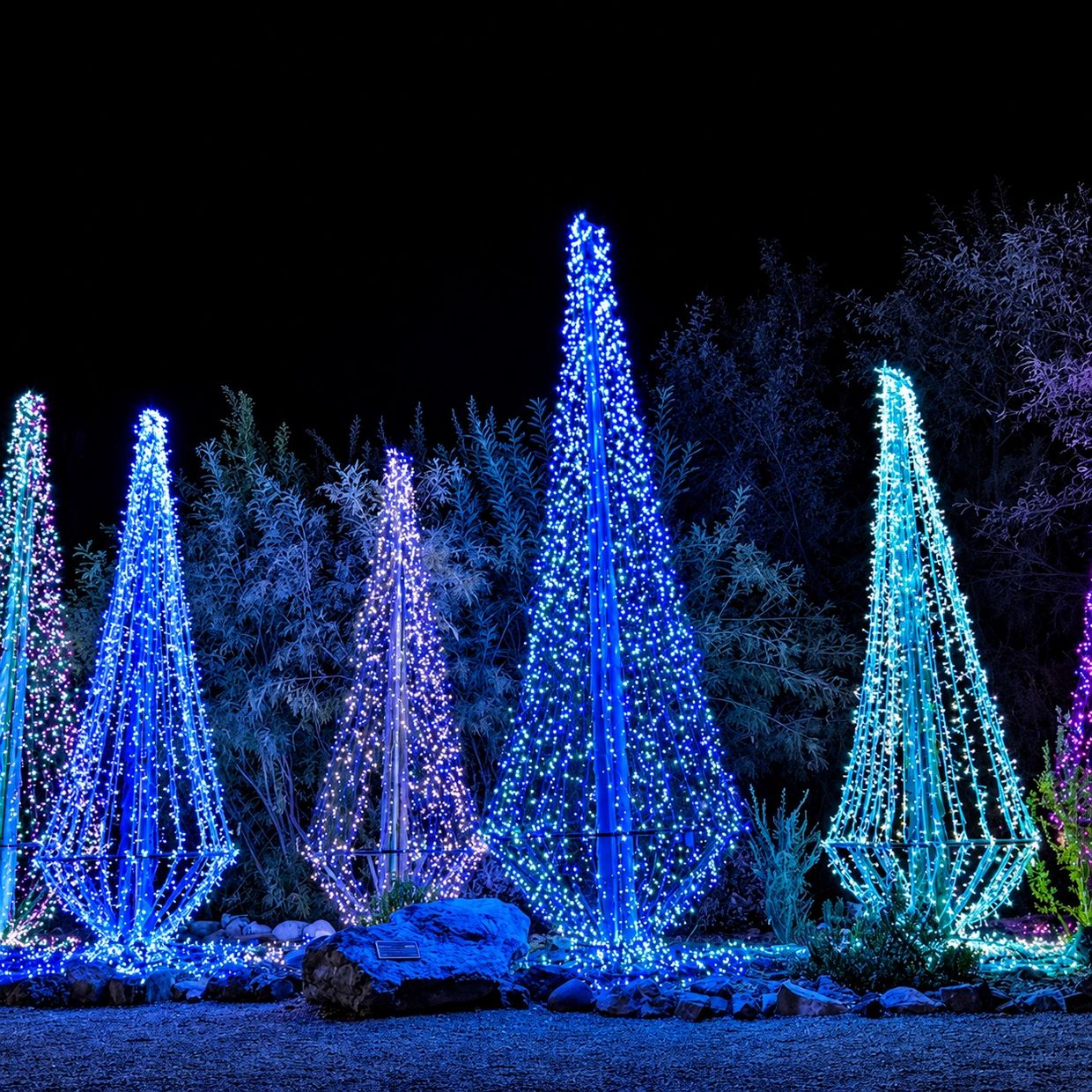 Tall cone-shaped structures adorned with blue fairy lights at night.