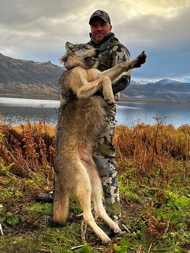 Christain Borcher Wolf 2023