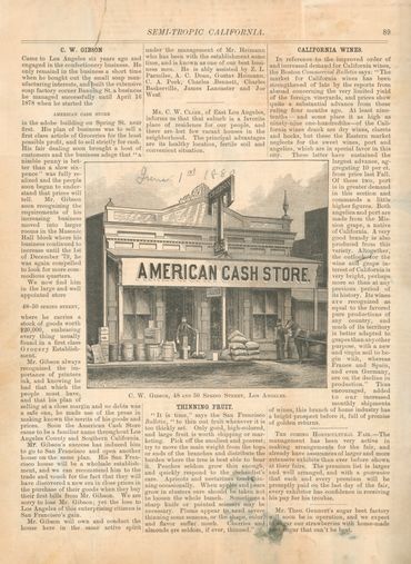 Semi-Tropic California, 1880
"The American Cash Store came to be a familiar name throughout Los Ange