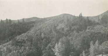 "Pine-clad Mountains are all about you"
Castle Hot Springs, Middletown, CA (1919)