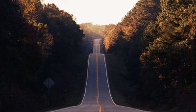 A long, winding road through a forest during autumn.